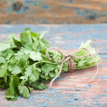 Using Cilantro To Detox From Heavy Metals