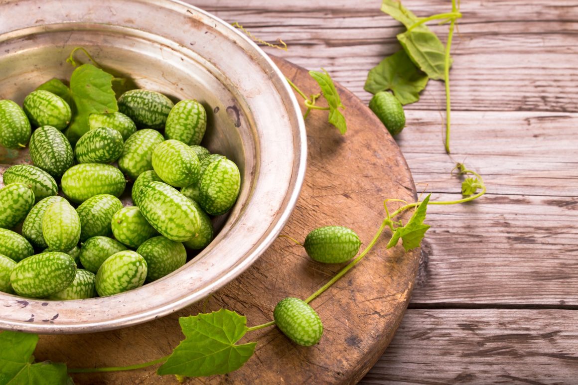 How to Grow Adorable (And Superhealthy) Cucamelons