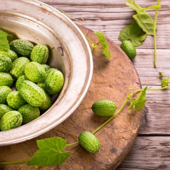 How to Grow Adorable (And Superhealthy) Cucamelons